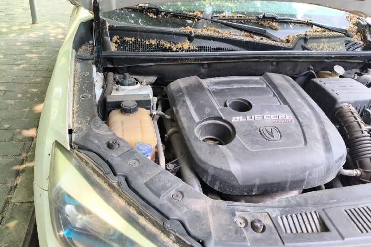 Used CHANGAN CS75 2017 Shangkui Edition 1.5T Automatic Fengxiang Model Engine Bay Right