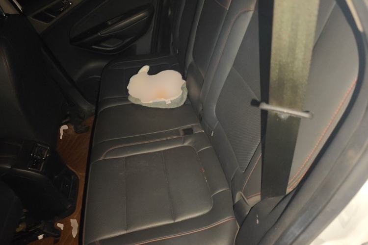 Used CHANGAN CS75 2017 Shangkui Edition 1.5T Manual Fengxiang Model Left Rear Seat