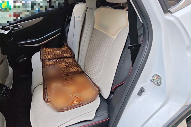 Used CHANGAN CS75 2018 280T Automatic Smart Edition China V-standard Left Rear Seat
