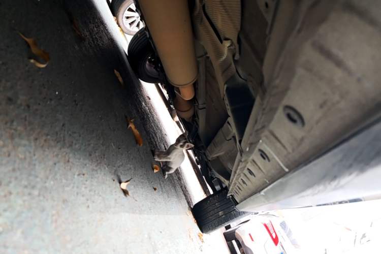 Used CHANGAN CS75 2020 280T Automatic Smart Edition China VI Right Side Sill