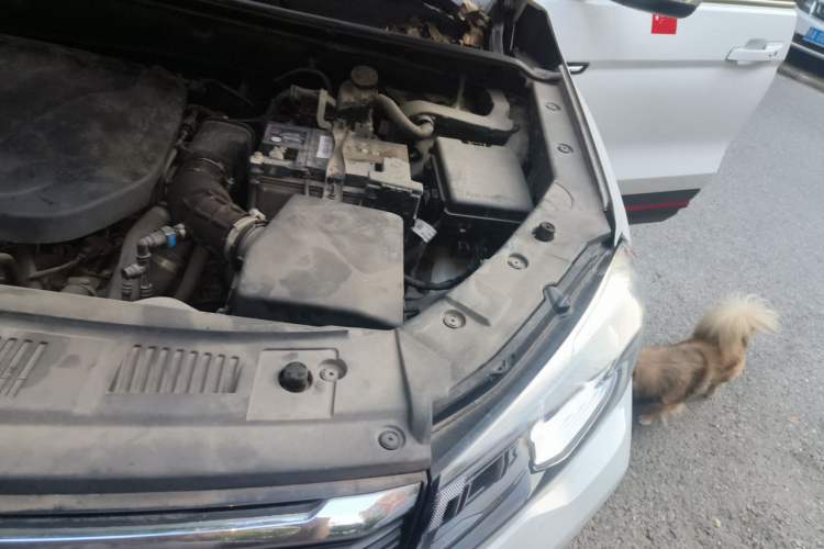Used CHANGAN CS75 2021 Honor Million Edition 280T DCT Luxury Model Engine Bay Left