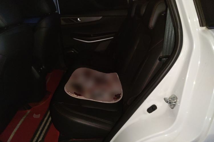 Used CHANGAN CS75 2021 Honor Million Edition 280T DCT Navigation Model Left Rear Seat