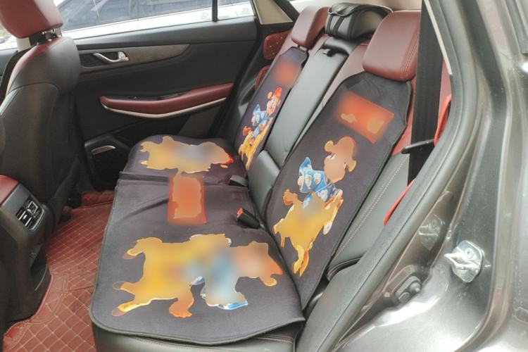 Used CHANGAN CS75 2022 Blue Whale Edition 1.5T DCT Prestige Model Left Rear Seat