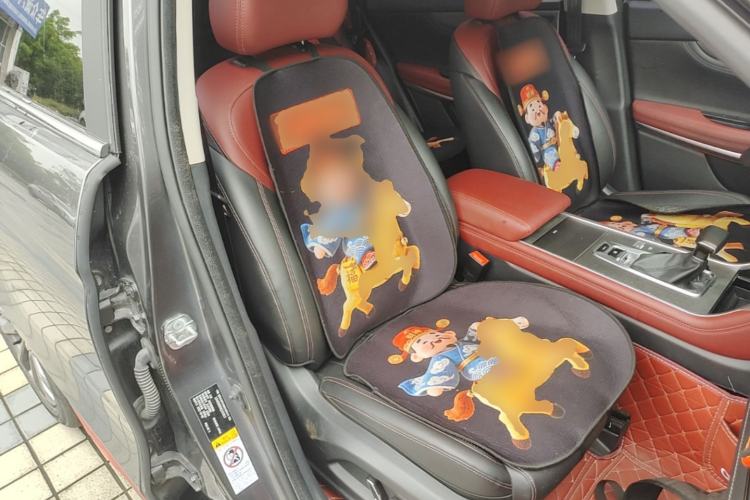 Used CHANGAN CS75 2022 Blue Whale Edition 1.5T DCT Prestige Model Right Front Seat