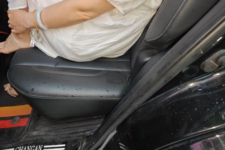Used CHANGAN CS75 PLUS 2020 1.5T Automatic Luxury Version Left Rear Seat