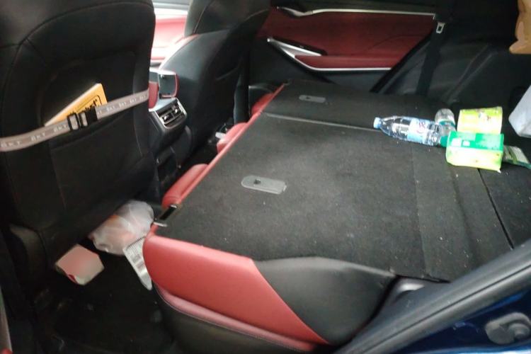 Used CHANGAN CS75 PLUS 2020 1.5T Automatic Luxury Version Left Rear Seat