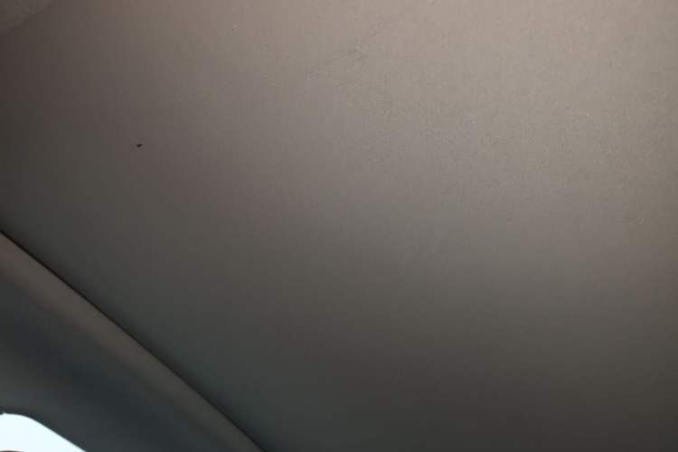 Used CHANGAN CS75 PLUS 2020 2.0T Automatic Flagship Edition Headliner