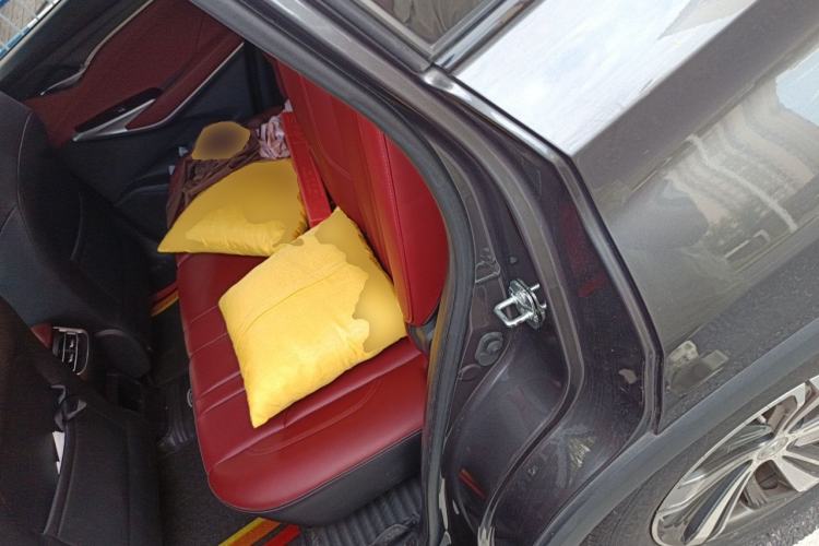 Used CHANGAN CS75 PLUS 2020 1.5T Automatic Luxury Version Left Rear Seat