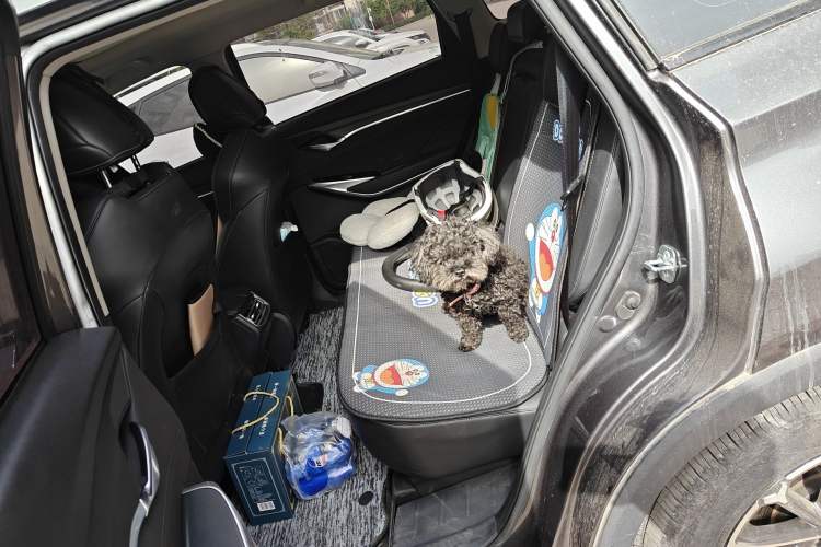 Used CHANGAN CS75 PLUS 2020 1.5T Automatic Luxury Version Left Rear Seat