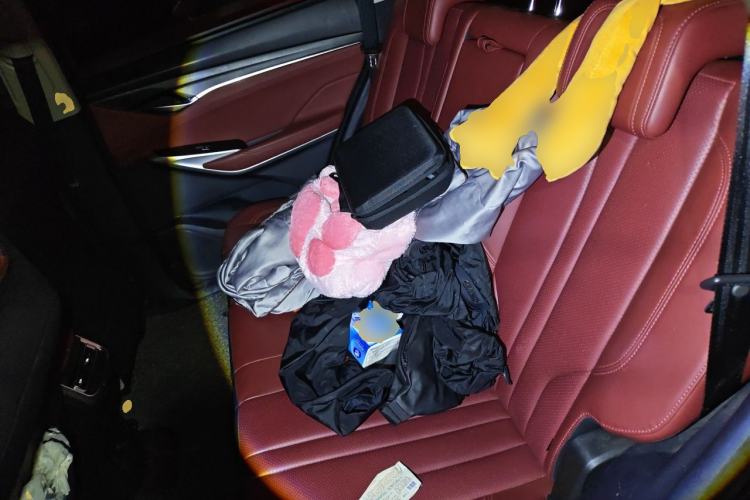 Used CHANGAN CS75 PLUS 2020 1.5T Automatic Prestige Edition Left Rear Seat