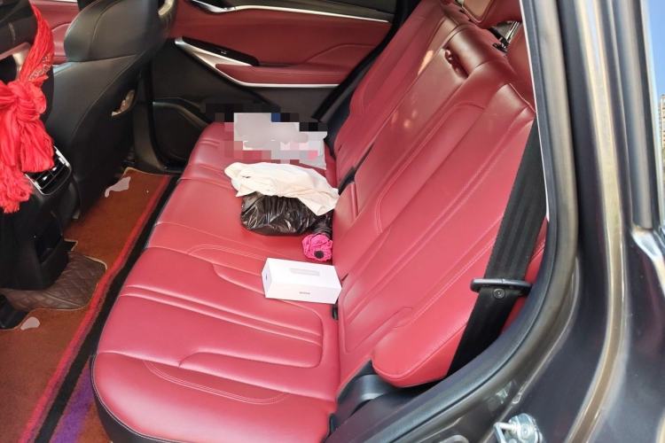 Used CHANGAN CS75 PLUS 2020 2.0T Automatic Pilot Version Left Rear Seat