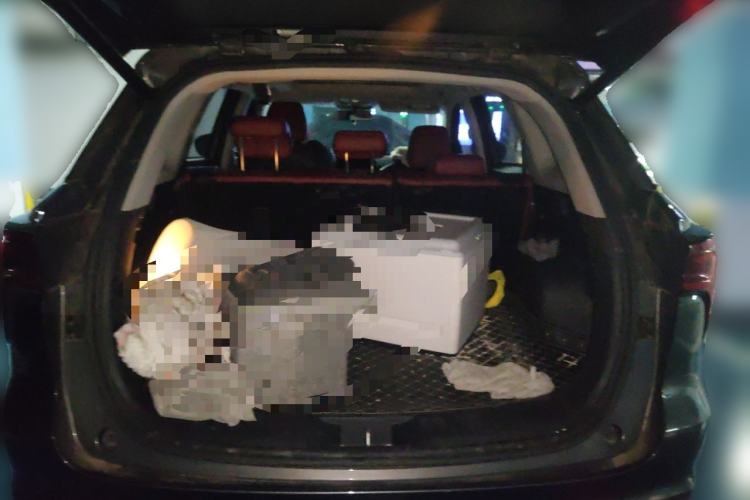 Used CHANGAN CS75 PLUS 2020 1.5T Automatic Prestige Edition Trunk