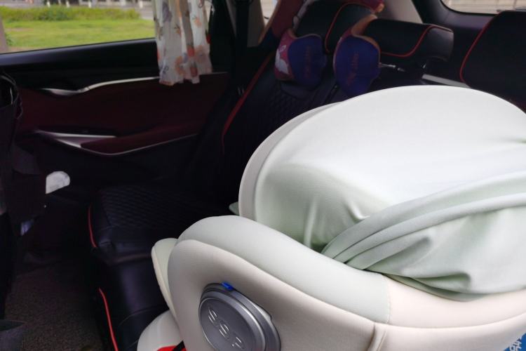 Used CHANGAN CS75 PLUS 2020 1.5T Automatic Luxury Version Left Rear Seat