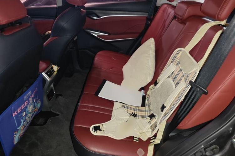 Used CHANGAN CS75 PLUS 2020 1.5T Automatic Prestige Edition Left Rear Seat