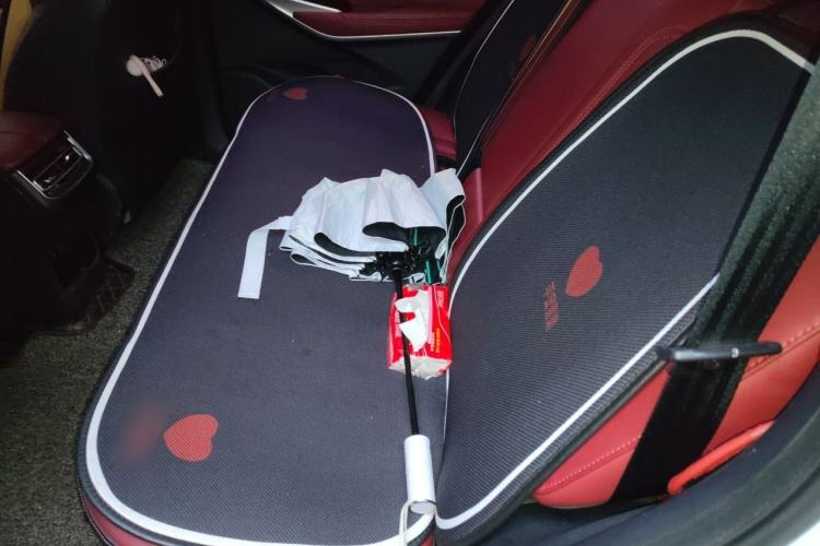 Used CHANGAN CS75 PLUS 2020 1.5T Automatic Luxury Version Left Rear Seat