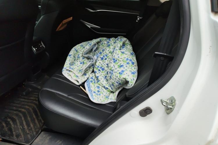 Used CHANGAN CS75 PLUS 2020 1.5T Automatic Prestige Edition Left Rear Seat