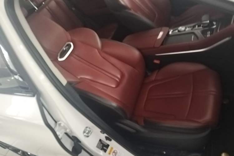 Used CHANGAN CS75 PLUS 2020 2.0T Automatic Pilot Version Right Front Seat
