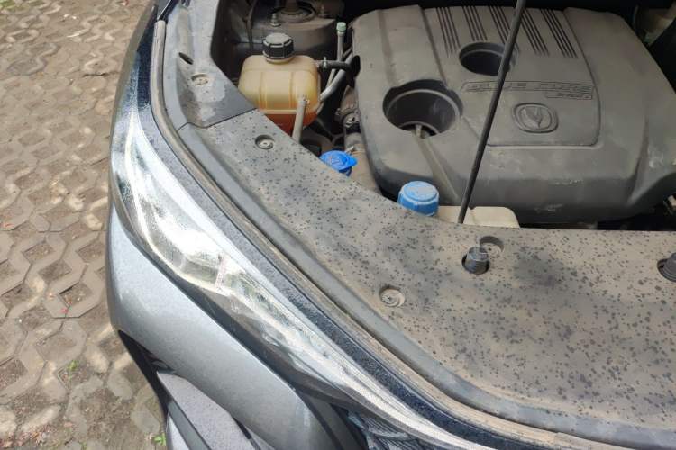 Used CHANGAN CS75 PLUS 2021 1.5T Automatic Luxury Version Engine Bay Right