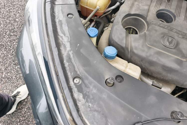Used CHANGAN CS75 PLUS 2021 1.5T Automatic Prestige Model Engine Bay Right