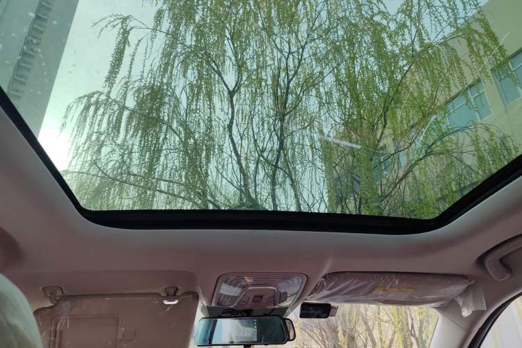 Used CHANGAN CS75 PLUS 2021 1.5T Automatic Luxury Version Headliner