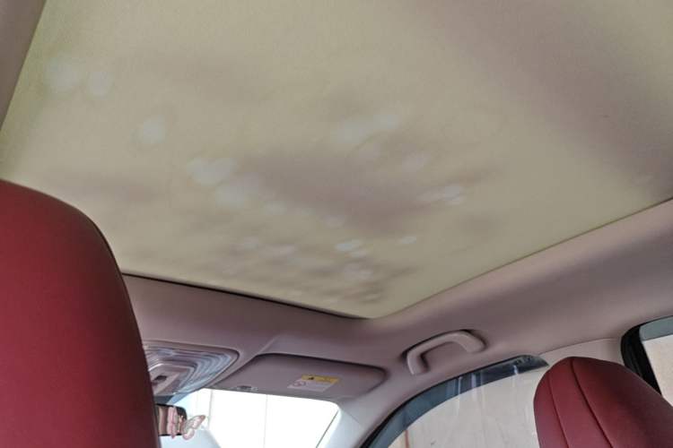 Used CHANGAN CS75 PLUS 2021 1.5T Automatic Luxury Version Headliner