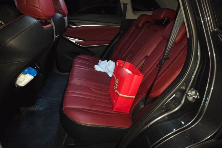 Used CHANGAN CS75 PLUS 2021 1.5T Automatic Prestige Model Left Rear Seat