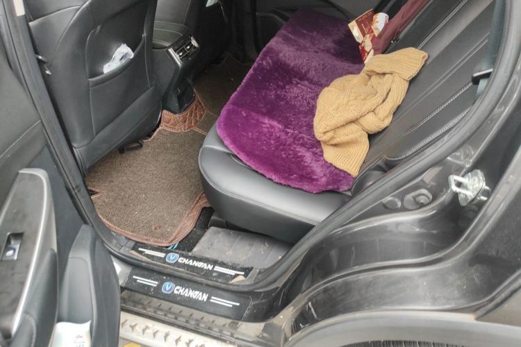 Used CHANGAN CS75 PLUS 2021 2.0T Automatic Pilot Version Left Rear Seat