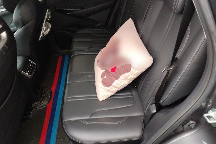 Used CHANGAN CS75 PLUS 2021 1.5T Automatic Luxury Version Left Rear Seat