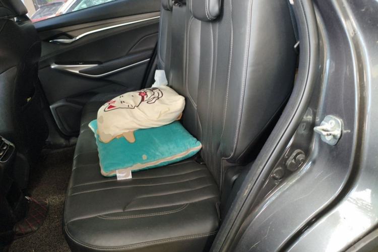 Used CHANGAN CS75 PLUS 2021 1.5T Automatic Luxury Version Left Rear Seat