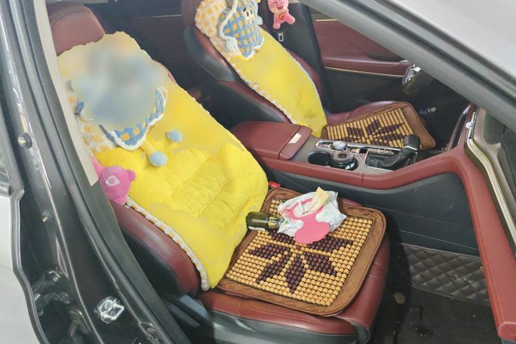 Used CHANGAN CS75 PLUS 2021 1.5T Automatic Luxury Version Right Front Seat