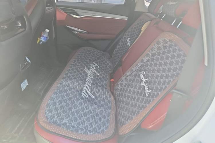 Used CHANGAN CS75 PLUS 2021 2.0T Automatic Pilot Version Left Rear Seat