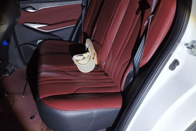 Used CHANGAN CS75 PLUS 2021 1.5T Automatic Luxury Version Left Rear Seat