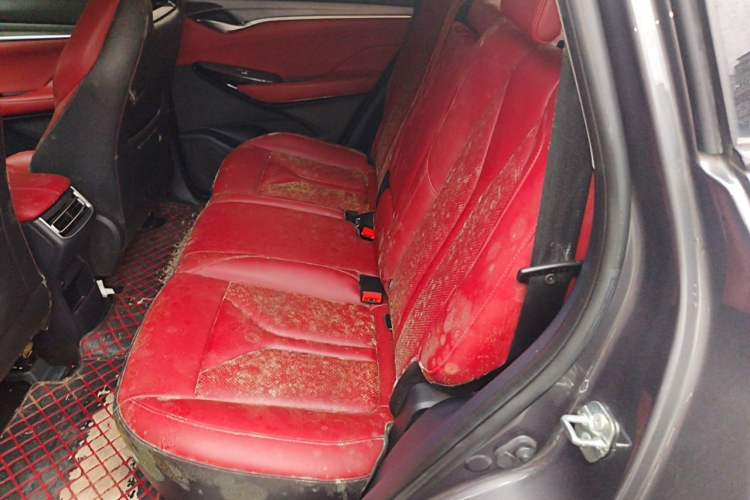 Used CHANGAN CS75 PLUS 2022 2.0T Automatic Pilot Version Left Rear Seat