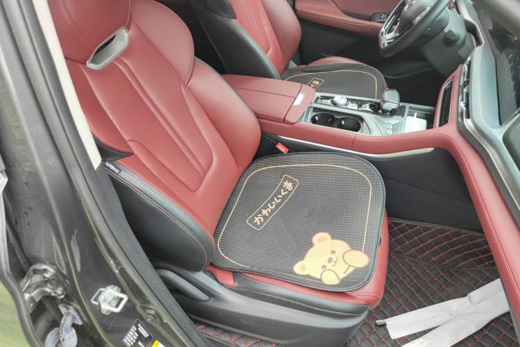 Used CHANGAN CS75 PLUS 2022 Classic Edition 1.5T Automatic Pioneer Model Right Front Seat