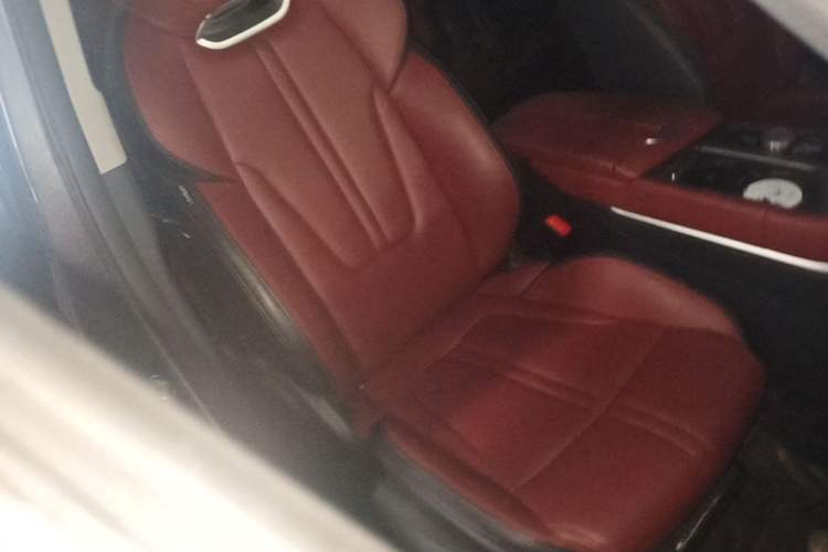 Used CHANGAN CS75 PLUS 2022 1.5T Automatic Luxury Model Right Front Seat