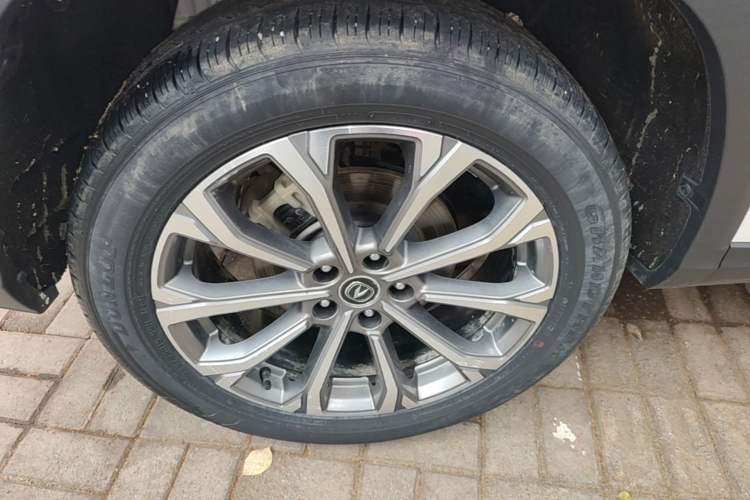 Used CHANGAN CS75 PLUS 2022 2.0T Automatic Pilot Version Exterior 5