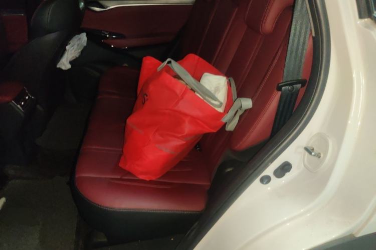 Used CHANGAN CS75 PLUS 2022 Classic Edition 1.5T Automatic Pioneer Model Left Rear Seat