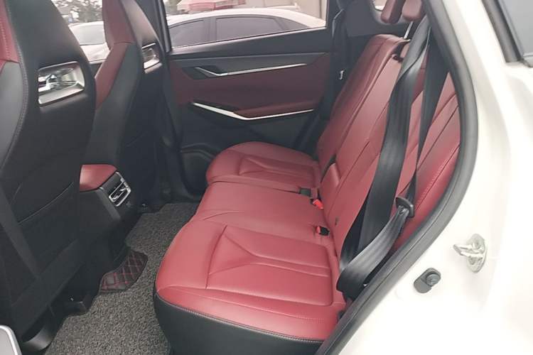 Used CHANGAN CS75 PLUS 2022 2nd Generation 1.5T Automatic Prestige Version Left Rear Seat
