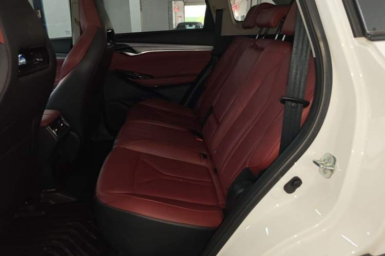 Used CHANGAN CS75 PLUS 2022 2.0T Automatic Pilot Version Left Rear Seat