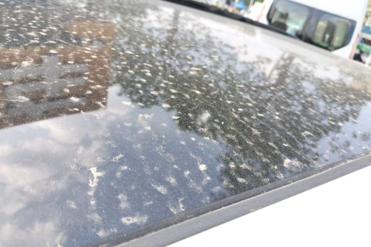 Used CHANGAN CS75 PLUS 2022 1.5T Automatic Prestige Model Roof
