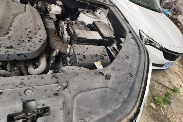 Used CHANGAN CS75 PLUS 2023 3rd Generation 1.5T Automatic Prestige Model Engine Bay Left
