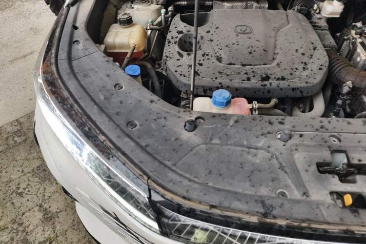 Used CHANGAN CS75 PLUS 2023 3rd Generation 1.5T Automatic Prestige Model Engine Bay Right