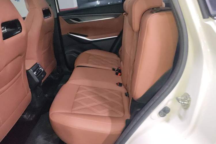 Used CHANGAN CS75 PLUS 2023 3rd Generation 2.0T Automatic Prestige Version Left Rear Seat