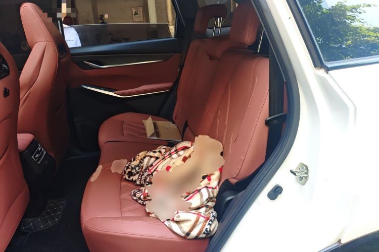 Used CHANGAN CS75 PLUS 2023 3rd Generation 1.5T Automatic Prestige Model Left Rear Seat
