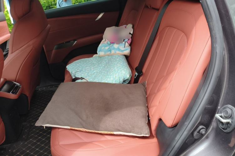 Used CHANGAN CS75 PLUS 2025 4th Generation 1.5T New Blue Whale Smart Luxury Edition Left Rear Seat