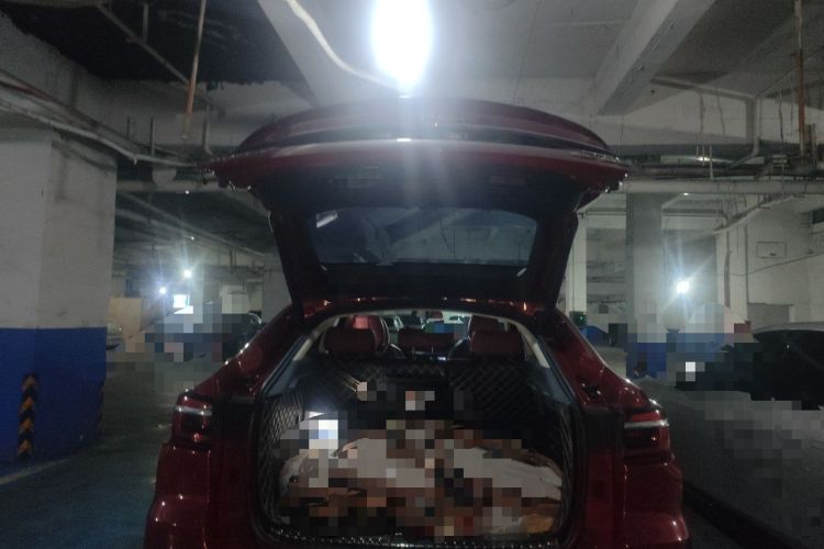 Used CHANGAN CS85 COUPE 2019 2.0T Automatic Luxury Edition China VI Standard Trunk