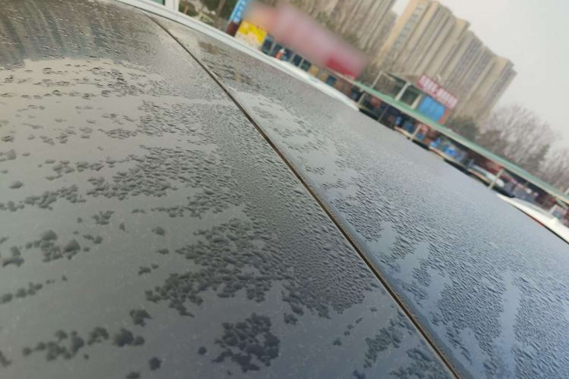 Used CHANGAN CS85 COUPE 2019 2.0T Automatic Luxury Edition China VI Standard Roof