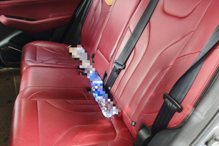 Used CHANGAN CS85 COUPE 2021 2.0T Automatic Prestige Edition Left Rear Seat