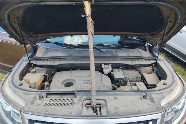 Used CHANGAN CS95 2017 2.0T Four-Wheel Drive SmartDrive Edition Engine Bay