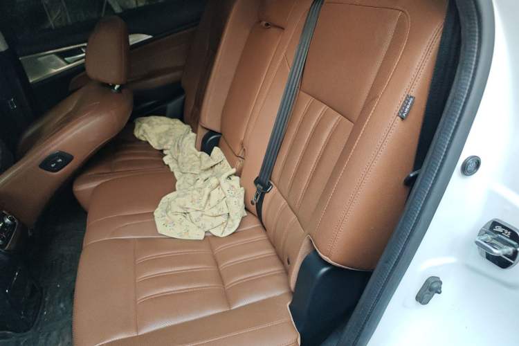 Used CHANGAN CS95 2017 2.0T Four-Wheel Drive ZhiZun Edition Left Rear Seat